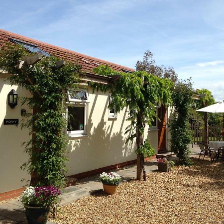 Ashford House B&B 웰스 외부 사진