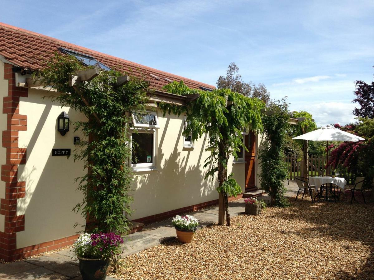 Ashford House B&B 웰스 외부 사진